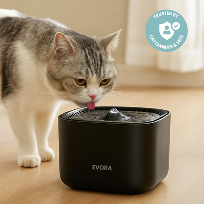 Protect your cat from dehydration and urinary emergencies with EVORA PETS