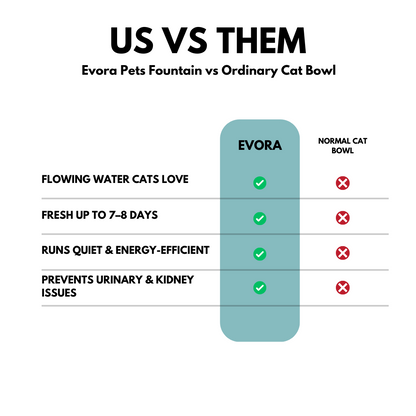 Protect your cat from dehydration and urinary emergencies with EVORA Fountain